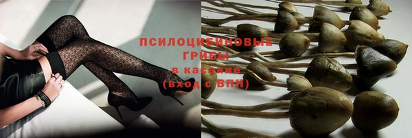 а пвп мука Белокуриха